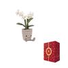 JELLYCAT Botanical Series Cute White Orchid Companion and Soothing Doll Plush Doll 27cm High