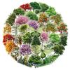 50 Pcs Cute Cartoon Transparent Forest Secret Stickers Natural Forest Plant Landscape Decal Laptop Phone Decoration Sticker