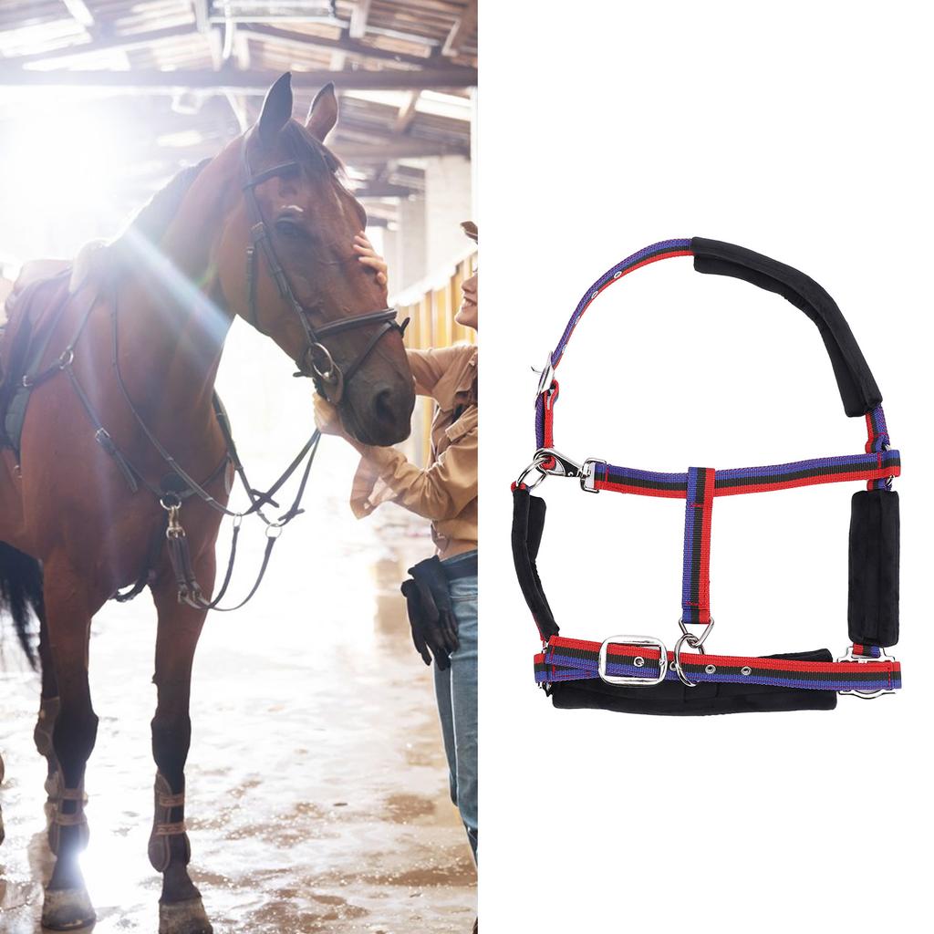 Horse   Wrproof Nylon Comfortable   Chin and Throat Snap   for Training Equestrian