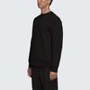 Y 3 Sweatshirts Unisex Black Crew Neck Moderate Regular FS3398