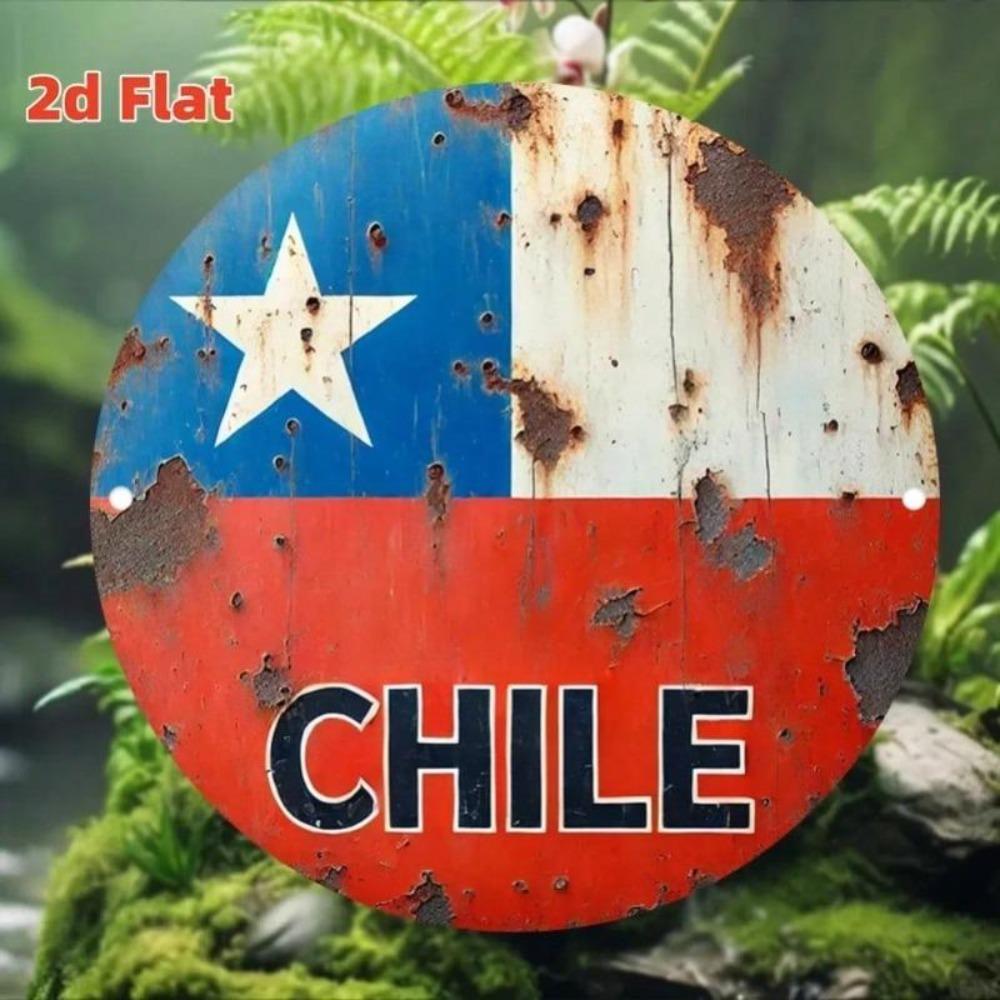 Vintage Chilean Flag Metal Tin Wall Art Sign Home Decor
