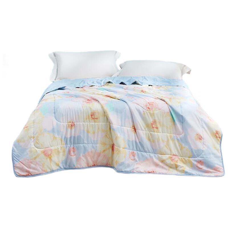 

Luolai Floral Dream Summer Quilt