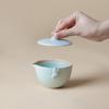 Wanqiantang Ceramic Quick Brew Travel Tea Set