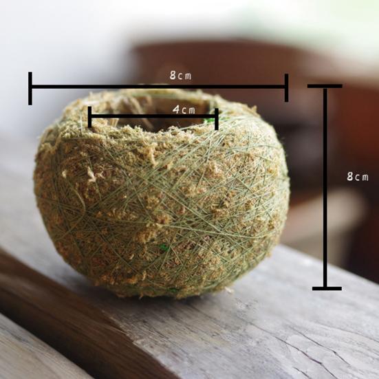 Moss Design Květináč Nádoba na šťavnaté rostliny Domácí Zahrada Kavárna Dekorace