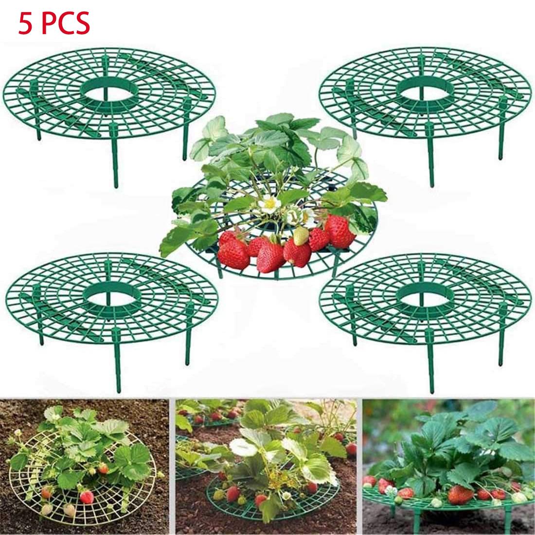 

5/10/20 шт. стойки для выращивания клубники, стойки для выращивания клубники, подставка для клубники, рамка для выращивания клубники, сохраняет ягоды в чистоте 5 PCS