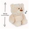 GUND Bubbles Bear 6068678