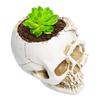 Skull Flower Pot Resin Human Skull Planter Weatherproof Gothic Plant Pot for Planting Succulents Indoor Outdoor Use