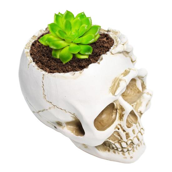 Skull Flower Pot Resin Human Skull Planter Weatherproof Gothic Plant Pot for Planting Succulents Indoor Outdoor Use