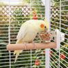 with Feeder Parrot Stand 2 IN 1 Bird Perch Premium Wooden Parrot Perch  Household Use