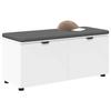 Hallway Bench with Cushion Shelf and Door White 100 X 38 X 46 Cm
