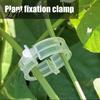 Plant Support Clips Clips Plastic Vine Reusable Tomato Stem Outdoor Training for Vegetables Climbing Plants Garden Trellis Netting Seedlings