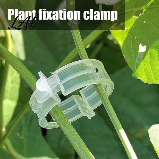 Plant Support Clips Clips Plastic Vine Reusable Tomato Stem Outdoor Training for Vegetables Climbing Plants Garden Trellis Netting Seedlings