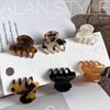 Korean Tortoiseshell Acetate Hair Claw - Small, Stylish Bangs Clip