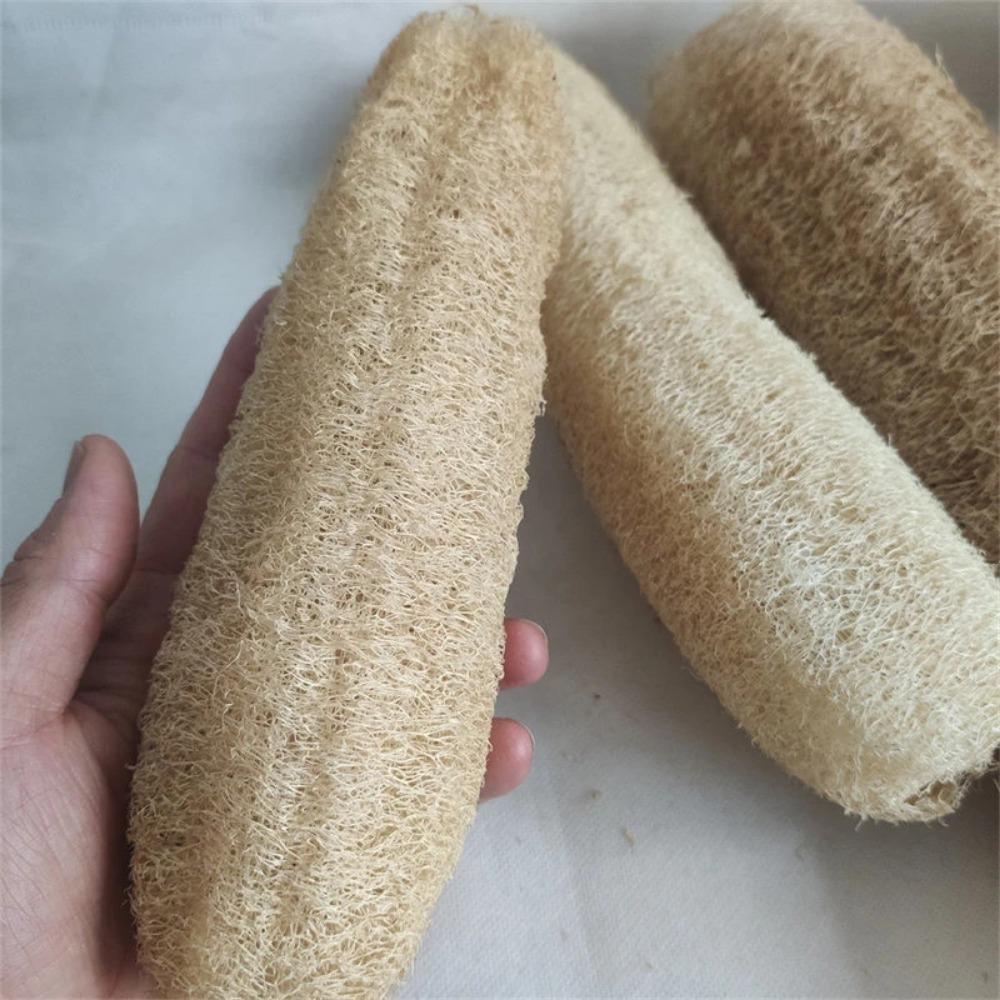 HOMZY 1pcs Natural Loofah Sponge Multi-purpose Cleaning Tool for Kitchen Bathroom Scrubber for Daily Cleansing Wash Body Scrubber Spa