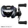 Daiwa Baitcasting Reel 25IM Z TW (DAIWA) 100-C
