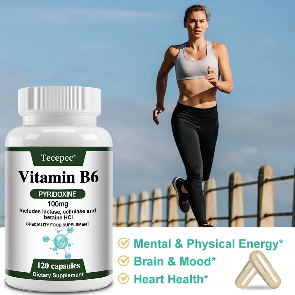 Vitamin B6 (Pyridoxine) 100 Mg Dietary Supplement, 120 Capsules Per Bottle