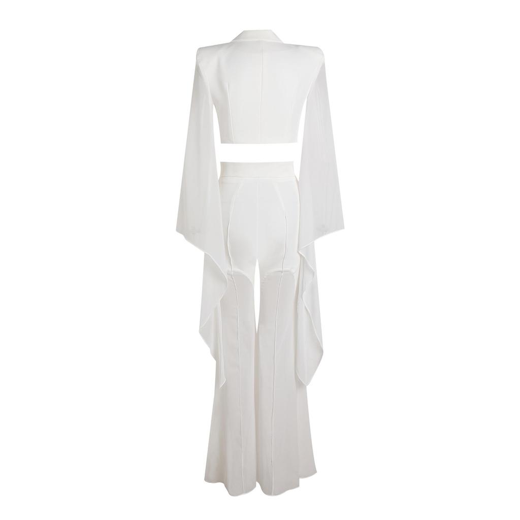 Women's Sheer Wide-Leg Blazer Set