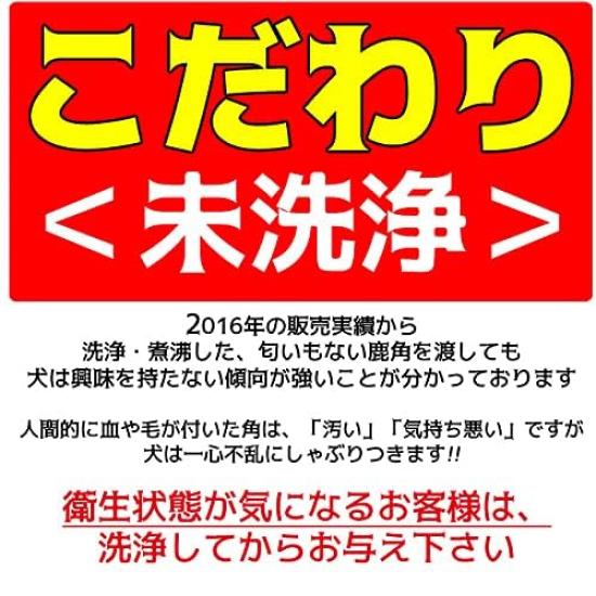 Hokkaido Deer Antler Dog Toy to Medium Thick (Large Dogs, Type, 25cm)