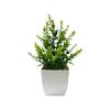 Maintenance Free Artificial Potted Plant with Flower Pot Evergreen Design Fake Green Plant Vivid Shape Decorative Fake Plant