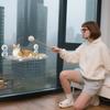 Cat Window Hammock Foldable Pet Hammock Bed Suction Cups Glow In The Dark Resting Seat With Interactive Toys For Cozy Naps Small