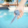 PVC Pool Water Temperature Meter Cartoon Animals Waterproof Swimming Pool Thermometer Floating Accurate Thermometer Pools