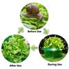1/10pcs Reusable Protection Vegetables Covers Plastic Flowerpot Cover Plant Snail Collar