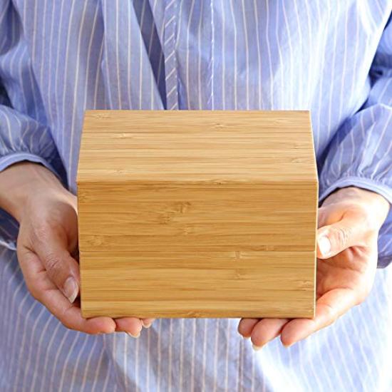 Kochosai Kosuge Two Tier Bento Box Red