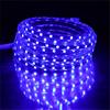 5050 Flexible LED Strip light AC220V 60leds/m Waterproof IP67 Led Tape LED Light With EU Power Plug 1M/2M/3M/4M/5M/10M/15M/20M