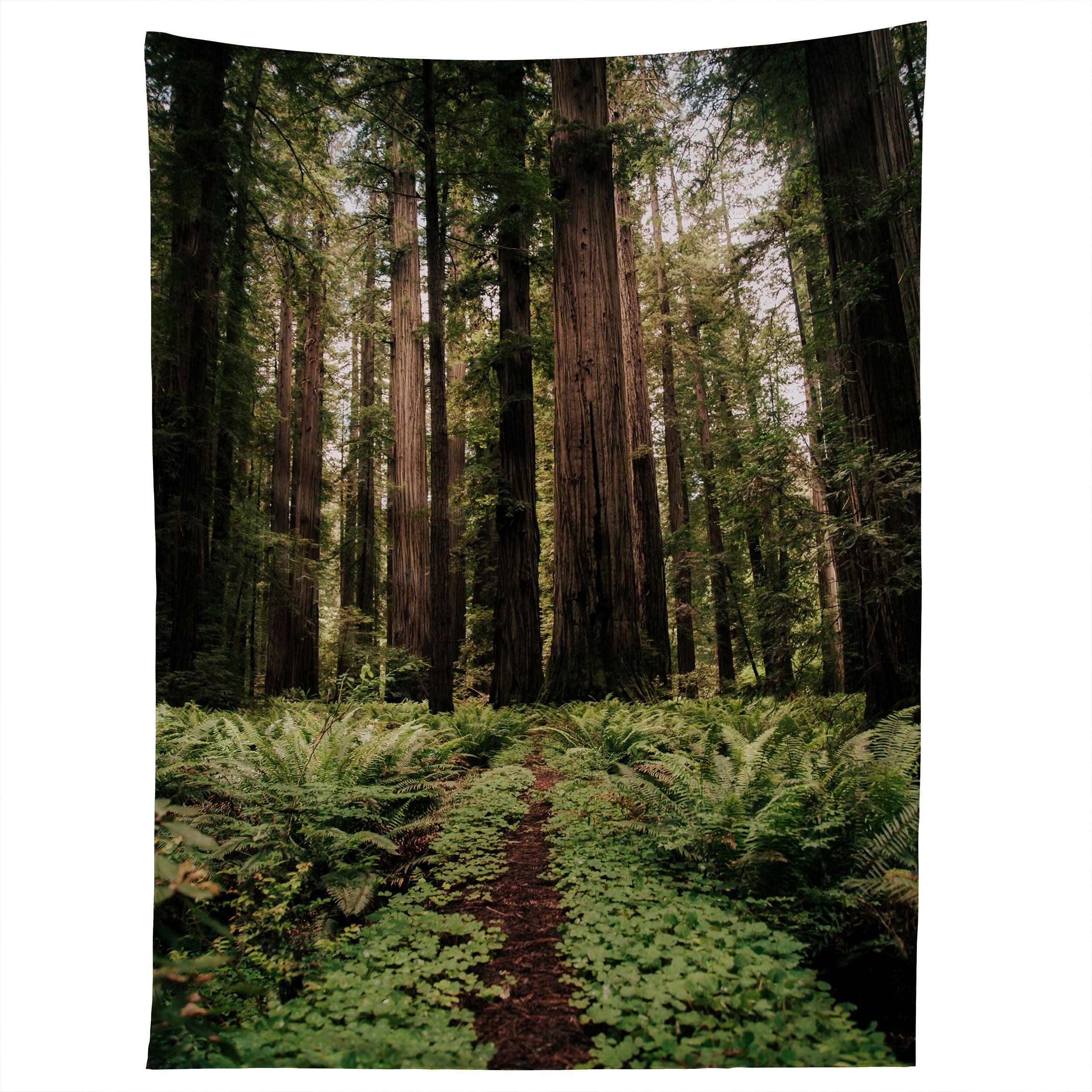 REDWOOD TRAIL tapestry 75x100