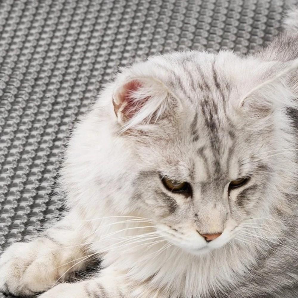 Gift Double Layer Cat Litter Mat Non-Slip Waterproof Pet Toilet Pad Easy Clean Washable Sand Cat Pad Pet Toilet Area