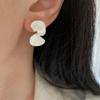 Silver S-Shaped Fan Stud Earrings for Women: French niche design with high-end elegance and a unique industrial texture.