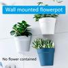 Wall Mounted Plastic Potted Plant Flowerpot Creative Wall Hanging Planter Semi Circular Small Flower Pot Wall Decoration