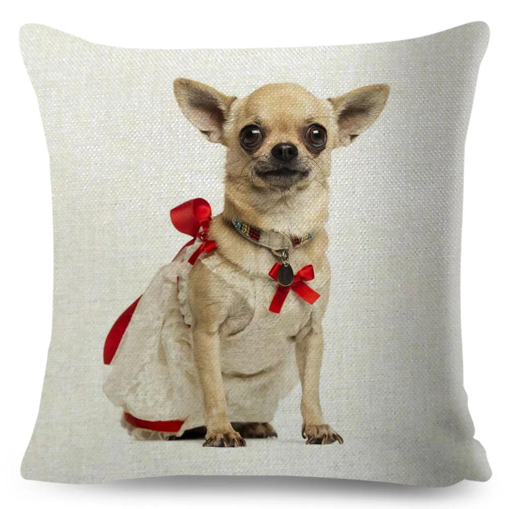 Niedlicher Kleiner Hund Chihuahua Kissenbezug Deko Liebes Haustier Tier Kissenbezug Polyester Überwurf Kissenbezug für Sofa Zuhause Auto 45x45cm