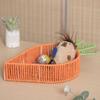 Decorative Snacks and Nut Holder Food Serving Tray Carrot Shaped Snacks Keys Organizer for Living Room or Entryway