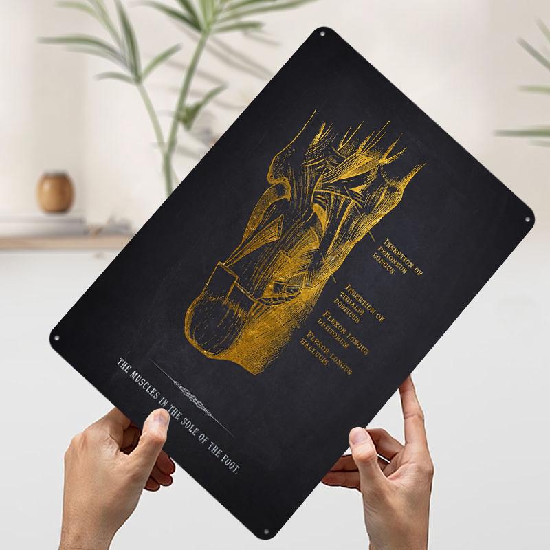 

Foot Muscles Anatomy Tin Plaque Poster Customized Wall Art Retro Vintage Metal Signs for Man Cave Decoration Bedroom Decorations 7.9x11.8In(20x30cm)