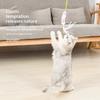 Interactive Hanging Simulation Cat Toy Teaser Wand Funny Self-Entertaining Kitten Play Tool Essential Cat Supplies