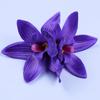 Bohemia Orchid Duckbill Clip Flower Korean Style Hairpins Sweet Simulation Flower Hair Clip  Daily