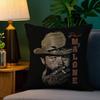 P-Post M-Malone Pillow Case Sofa Living Room Bedroom Double-Sided Printing Square Cushion Nap Time Pillow Case
