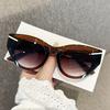 Cat Eye Shape Sun Glasses for Woman European American Fashion Men Sunglasses Travelling Hiking Fishing Sunglasses Female
