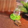 Household Lizard Food Bowel Reptile Feeder Turtle Food Container Tortoises Water Dispenser