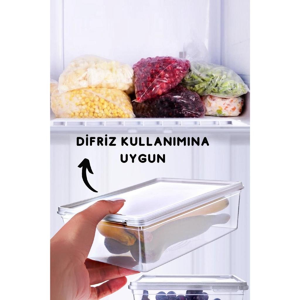10 Self-lidded Deep Freezer Storage Containers 1 Lt
