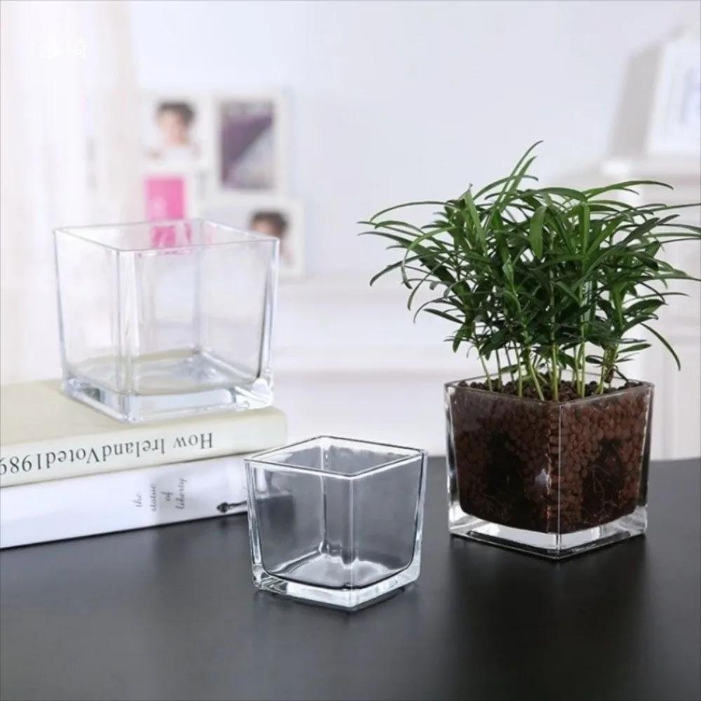 Planter Transprent Square Glass Vase Geometric Hydroponic Flower Pot Cube Vase Desktop Decor