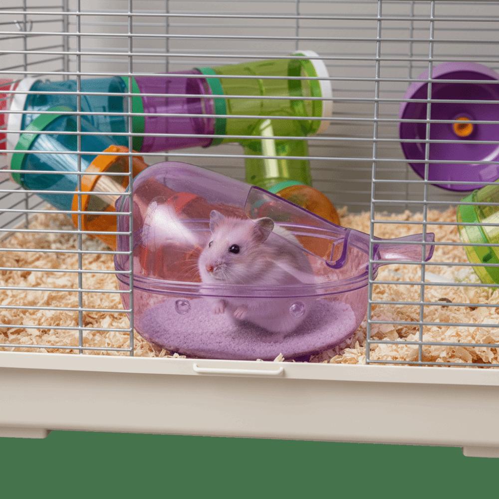 Large Space Small Pet Toilet Transparent View Hamster Sand Bathroom  Small Animals