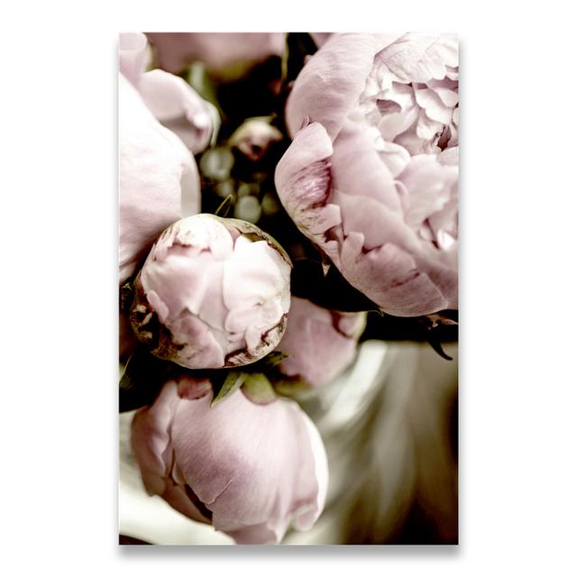 Oil Painting Blooming Peony Petals Nordic Art Poster