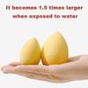 Beauty Egg Set Pumpkin Water Drop Puff Makeup Puff Set Colorful Pillow