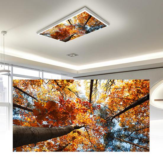 Fluorescent Light Cover with 10 Magnets Exquisite Pattern Easy Installation Fluorescent Light Filter Magnetic Ceiling Light Cover