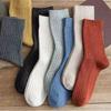 Four Seasons Socks, Women's Socks, Plain Socks