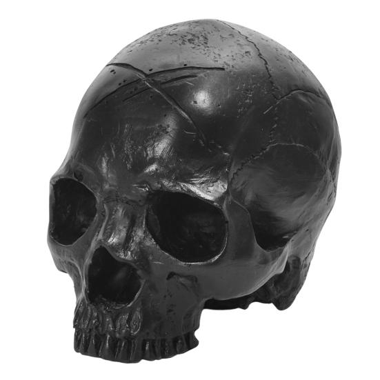 Yousheng Resin Skull Ornament, Dark Style Skull Halloween Prop, Sturdy Durable Teaching Model, Matte Black Anatomy