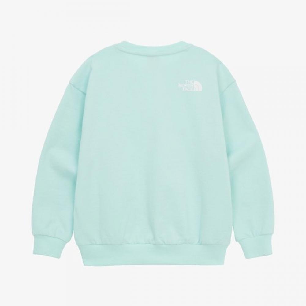 The North Face Kids Go To Sweatshirt Aqua Sea Nm5mr05u