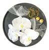Select Phalaenopsis Orchid Tulle Lace Flower Hair Accessory Set for Kimono and Perfect for and Graduations J's Hakama, Weddings, Coming-of-Age
